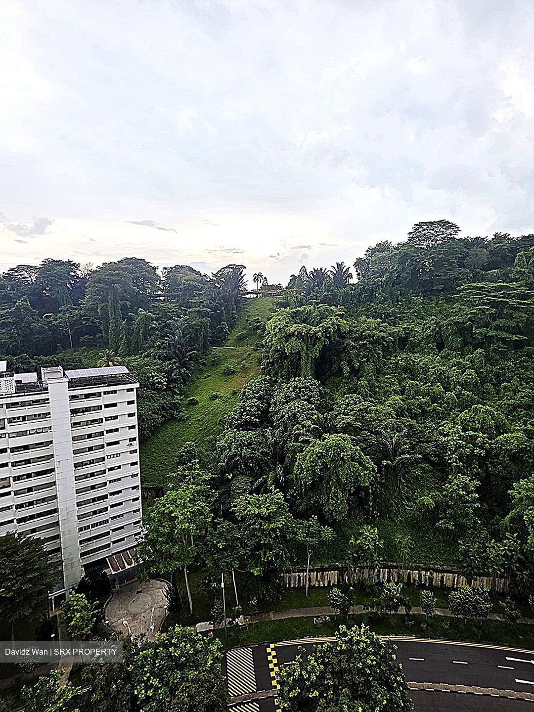 Blk 39 Telok Blangah Rise (Bukit Merah), HDB 5 Rooms #562864721